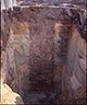 FileNo.037-S02.jpg