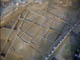 FileNo.038-006.jpg