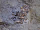 FileNo.038-016.jpg