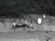 FileNo.038-017.jpg