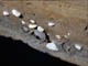 FileNo.038-022.jpg