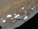 FileNo.038-023.jpg