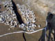 FileNo.038-029.jpg