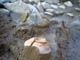 FileNo.038-039.jpg