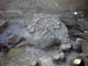 FileNo.038-065.jpg