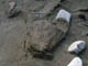 FileNo.038-066.jpg