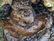 FileNo.038-069.jpg