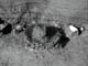 FileNo.038-070.jpg