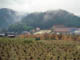 FileNo.039-002.jpg