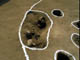 FileNo.039-004.jpg