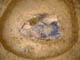 FileNo.040-005.jpg