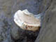 FileNo.040-020.jpg