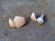 FileNo.040-021.jpg