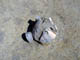 FileNo.040-022.jpg