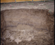 FileNo.090101.jpg