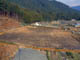 FileNo.041-004.jpg
