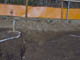 FileNo.041-006.jpg