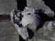 FileNo.042-008.jpg