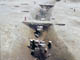 FileNo.042-011.jpg