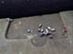 FileNo.042-020.jpg