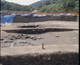 FileNo.090103.jpg