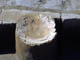 FileNo.043a-008.jpg