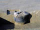 FileNo.043a-024.jpg