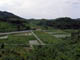FileNo.043b-001.jpg