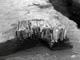 FileNo.044-016.jpg