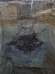 FileNo.044-023.jpg