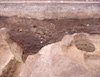 FileNo.044-S16.jpg