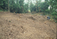 FileNo.046b-005.jpg