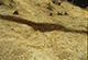 FileNo.046b-018.jpg