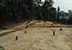 FileNo.046b-034.jpg