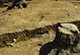 FileNo.046b-044.jpg