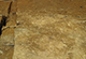 FileNo.046b-045.jpg