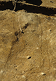 FileNo.046b-046.jpg