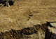 FileNo.046b-047.jpg