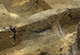 FileNo.046b-048.jpg