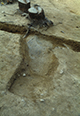 FileNo.046b-052.jpg