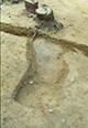 FileNo.046b-053.jpg