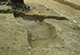 FileNo.046b-056.jpg