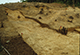 FileNo.046b-067.jpg
