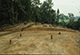 FileNo.046b-074.jpg