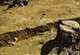 FileNo.046b-091.jpg