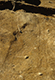 FileNo.046b-093.jpg