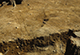 FileNo.046b-094.jpg