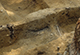 FileNo.046b-095.jpg