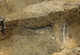 FileNo.046b-097.jpg