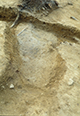 FileNo.046b-101.jpg